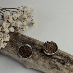 Bijoux - modèle - boucle d'oreille - bois