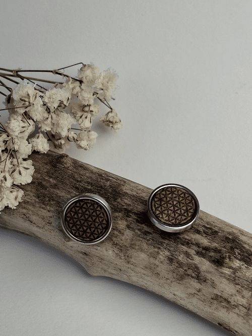 Bijoux - modèle - boucle d'oreille - bois