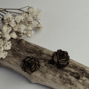 Bijoux - modèle - boucle d'oreille - bois - rose