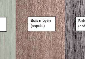 Couleur bois